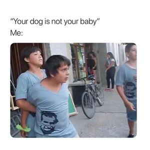 Meet your Posher, Cole